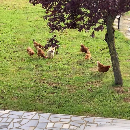 Appartement Lanari Valley House Thérmi